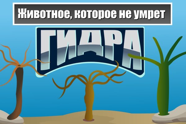 Кракен kr2web in магазин