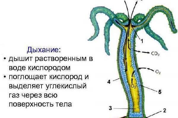 Кракен маркетплейс ссылка