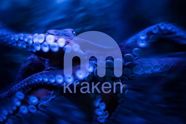 Кракен шоп krakenweb site