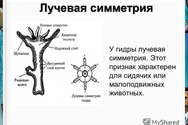 Почему кракен не блокируют